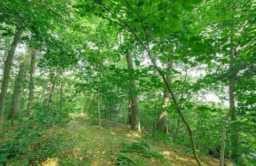 Private Island Home in Belding with Dock and Grill! - Foto 22