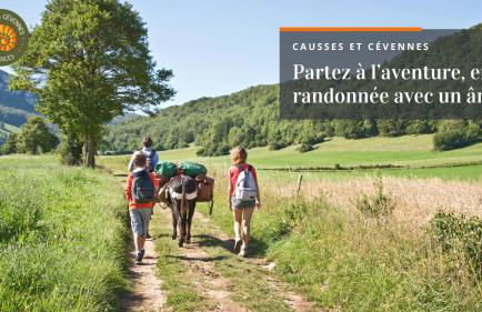 Alberguiere - Piscine chauffée - plancha - barbecue - Foto 43