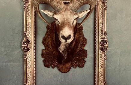 Chalet Sch-l-afbock - Photo 24