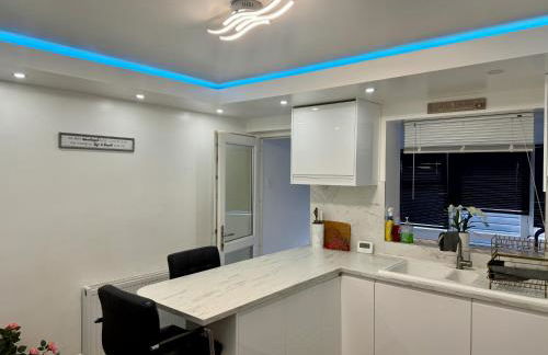 Modern Elegant Home - Photo 11