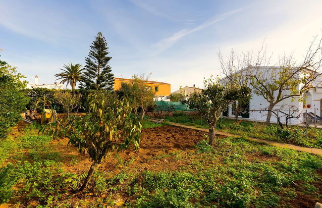 Villa Fina in Ciutadella de Menorca - Foto 35