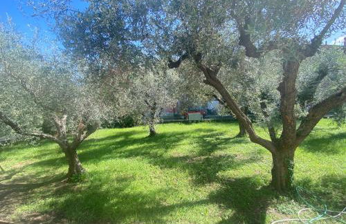 La Casa di RosaBea - Photo 1