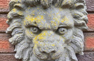 Myrtleberry Studio BnB - Foto 28