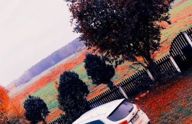 Leśna Willa - Foto 4