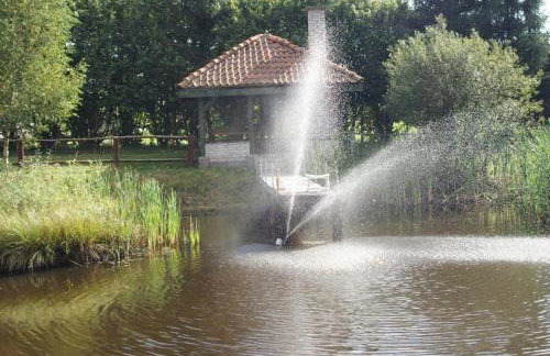 Aktywna Agroturystyka - Foto 7