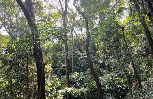 Chalé na Floresta - Refúgio Natural - Photo 37