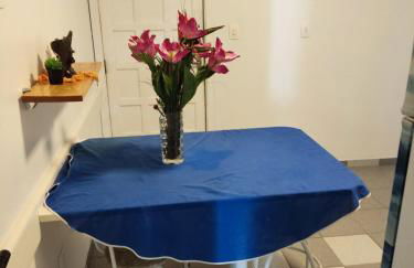 Apartamento 103 Praia do Ervino - SFS - Photo 12