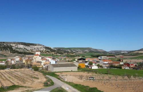 Casa Ambiente Rural: En plena Ribera del Duero - Foto 18