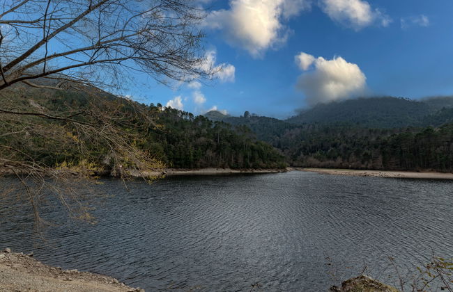 Migone de Sampolo - Foto 24