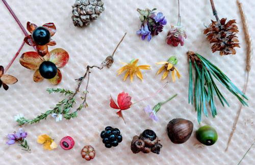 Field Edge Barn - Photo 13