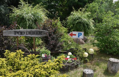 Gosciniec Pod Debem - Foto 49