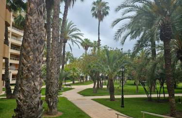 First line sea apartments - Foto 6