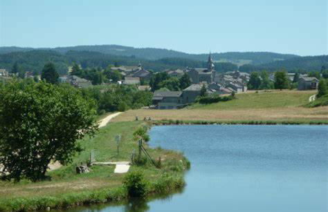Haute-loire Tence Belle maison neuve plain-pied 4 étoiles avec parc arboré clos - Foto 7