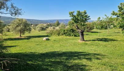 La Bastide des Muriers - Foto 2, Garden
