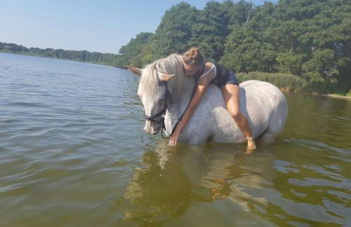 Hoheluft am Wittensee Apt 1 - Foto 21