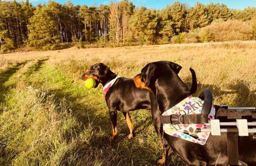 aResowa Wioska - Foto 29