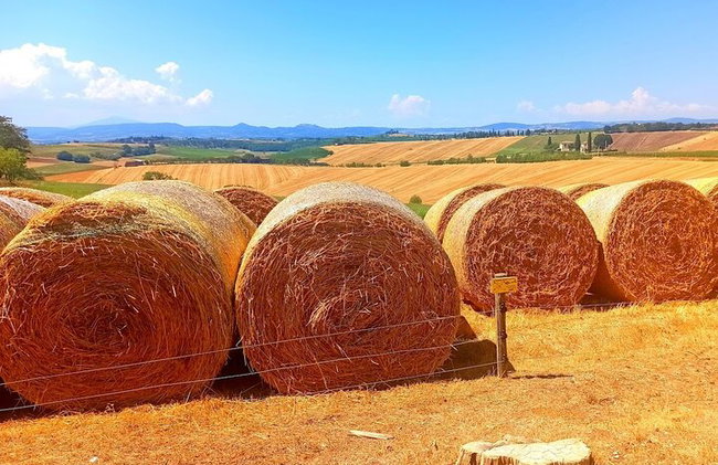 "Recorre las onduladas colinas de Chianti" con almuerzo y degustaciones de vino - Foto 38