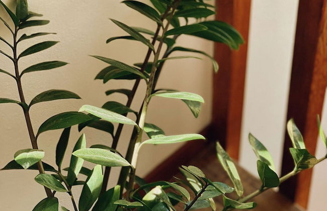 Casa Pantai Beach Village Praia do Rosa - Foto 38