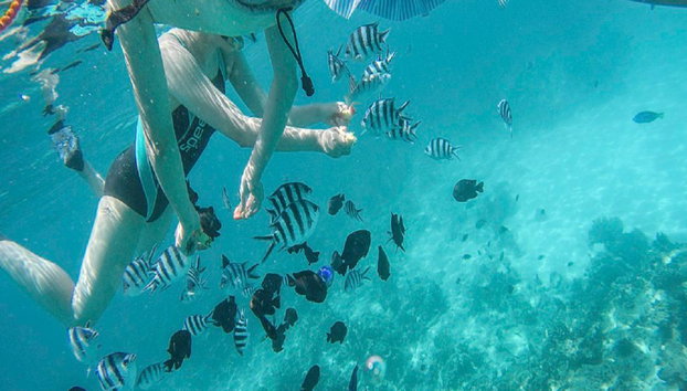 Escursione all'Isola di Mnemba - Foto 3