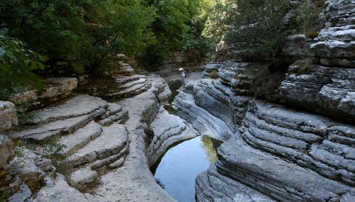 Xenonas Zagorisio - Foto 2