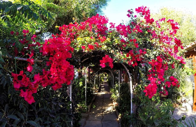 Cottage on the Beach - Photo 1