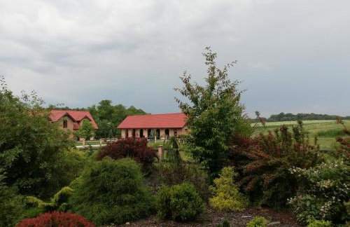 Pensjonat Enklawa - Foto 11