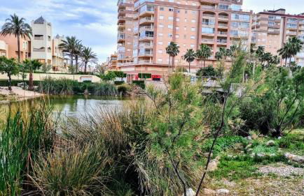 Apartmán pri mori - Foto 35