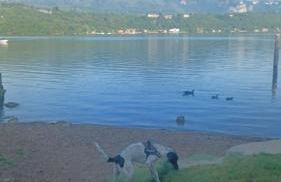 Palazzo del Vescovo - Foto 26