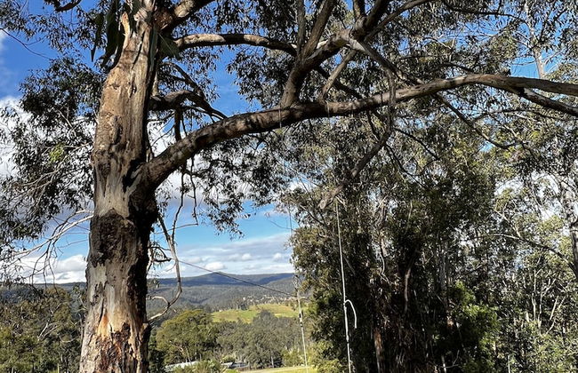 Bluegums Cabins Barrington Tops - Photo 70