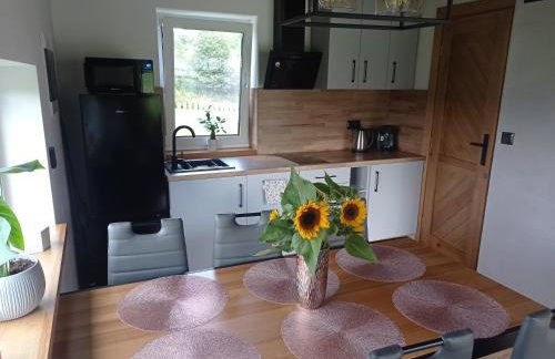 Domek Bieszczadzki Horyzont - Foto 22