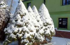 Agroturystyka Magnolia - Foto 10