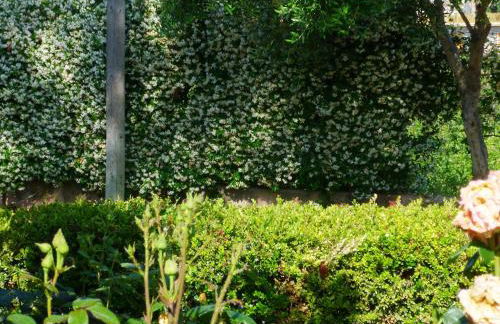 Etna Dependance - Foto 15