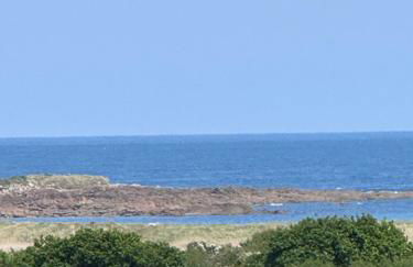 Maison de Vacances du Bouquet - Foto 4