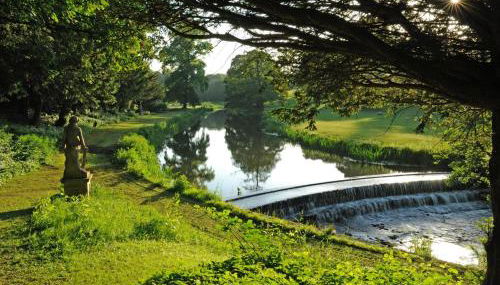 Yellison at Broughton Sanctuary - Foto 5