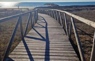 Ca' Savio terramare - Foto 42