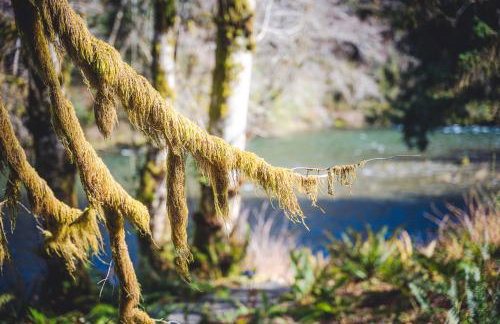 Evermore River House - Foto 12