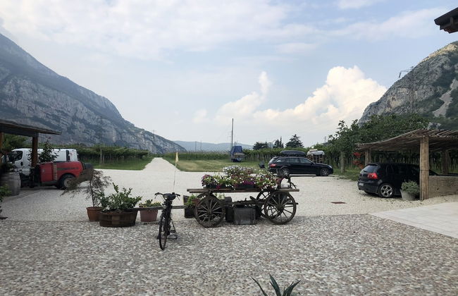 Agriturismo Tre Forti - Foto 53