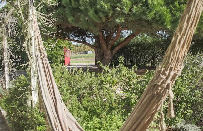 Casa Trivetia - Alentejo - Foto 36