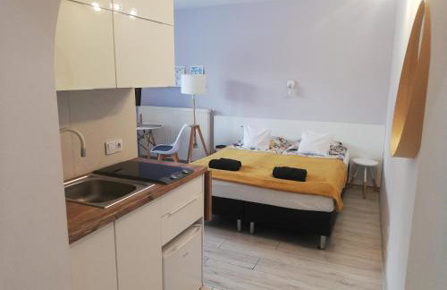 SKALNY apartamenty, pokoje - Foto 12