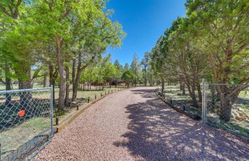 2 Decks, Grill and Wooded Views Happy Jack Cabin - Foto 11