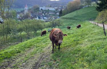 Wolfshound Cottage - Foto 5