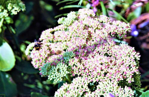 Thüringer Waldidyll - Foto 18