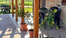 Il Cipresso - Photo 5