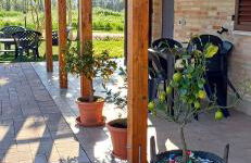 Il Cipresso - Foto 6