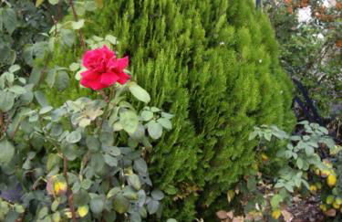 Casa Rural Rojanda - Foto 21