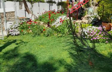 Tatiana's House - Photo 45