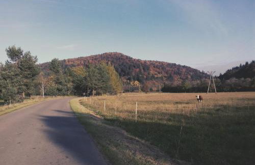 Stara Szkoła - Foto 30