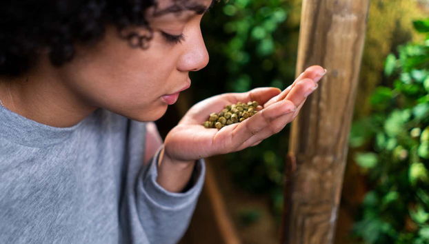 Annusando il luppolo