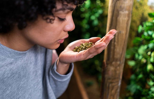 Entrada a MEGA: Mundo Estrella Galicia - Foto 5