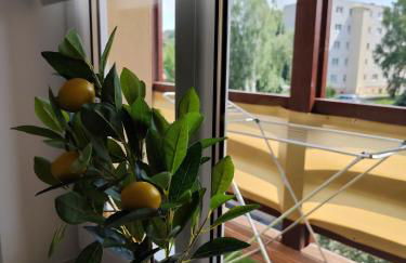 Cocon Zeitz - Foto 15